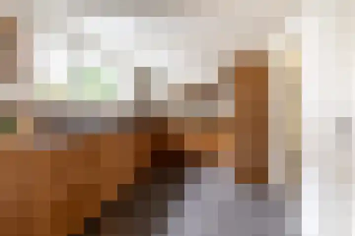 Mookhoek 43 Mookhoek thumbnail 18