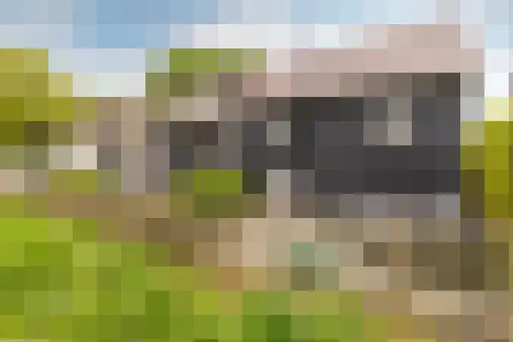 Mookhoek 43 Mookhoek thumbnail 36
