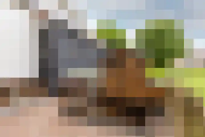 Mookhoek 43 Mookhoek thumbnail 37