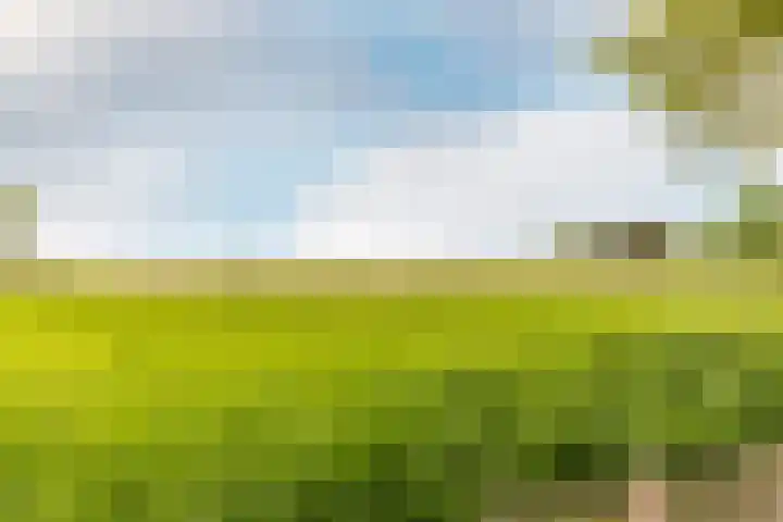 Mookhoek 43 Mookhoek thumbnail 40