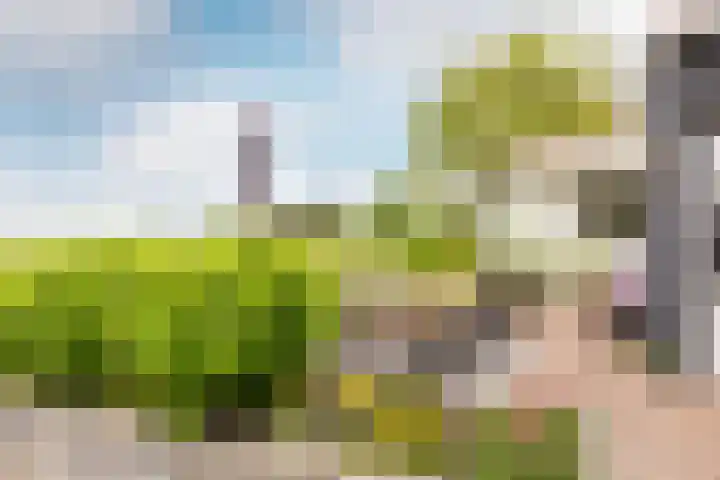 Mookhoek 43 Mookhoek thumbnail 41