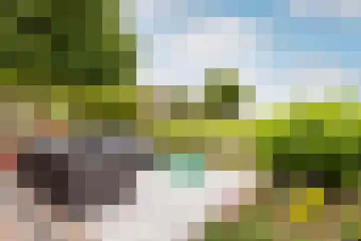 Mookhoek 43 Mookhoek thumbnail 42