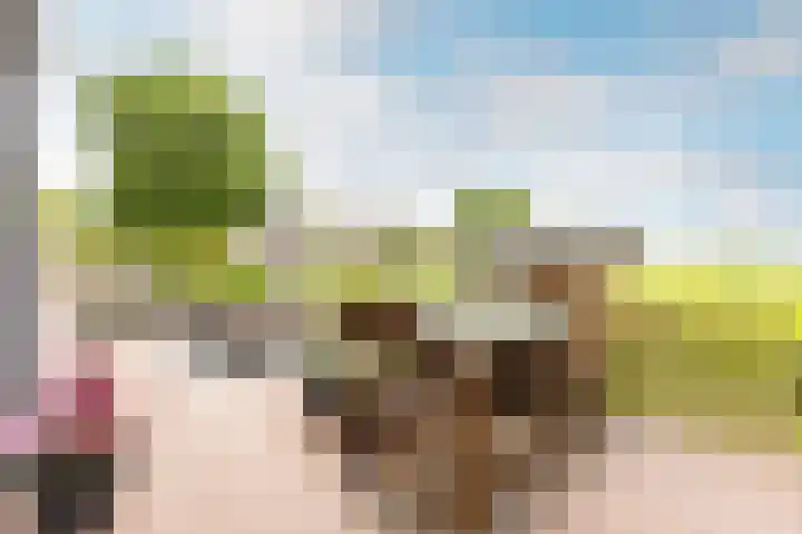 Mookhoek 43 Mookhoek thumbnail 44