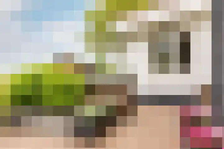 Mookhoek 43 Mookhoek thumbnail 45