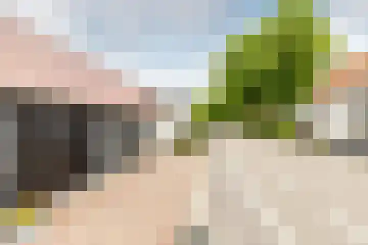 Mookhoek 43 Mookhoek thumbnail 46