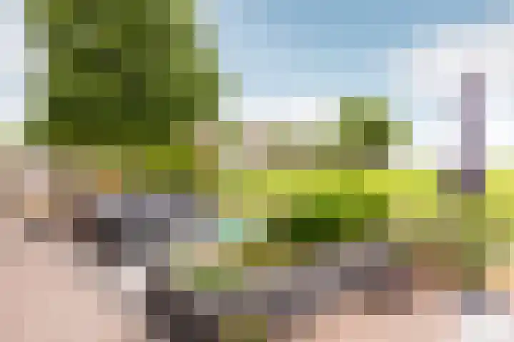 Mookhoek 43 Mookhoek thumbnail 5