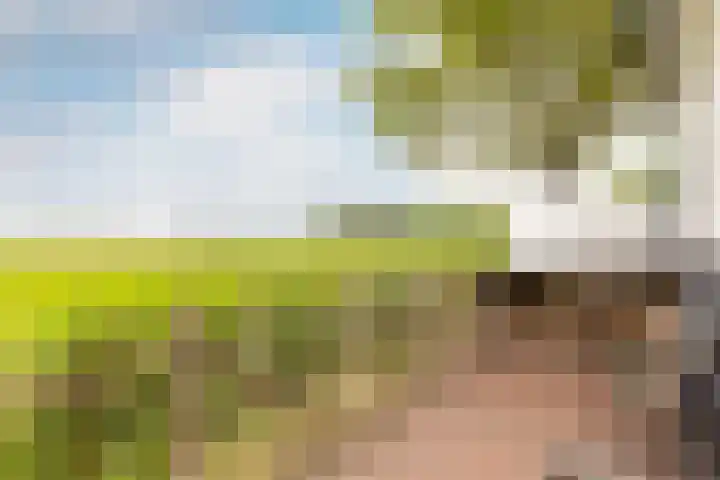 Mookhoek 43 Mookhoek thumbnail 6
