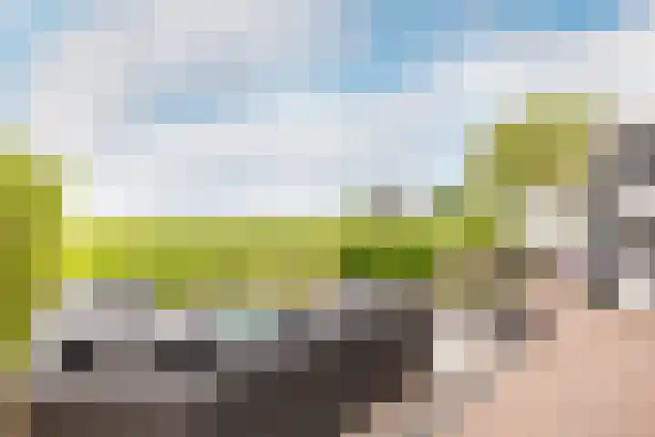 Mookhoek 43 Mookhoek thumbnail 7