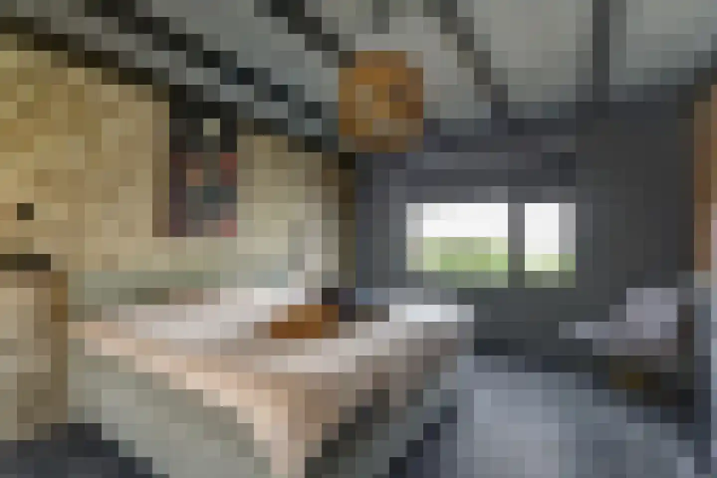 Mookhoek 51 Mookhoek thumbnail 11
