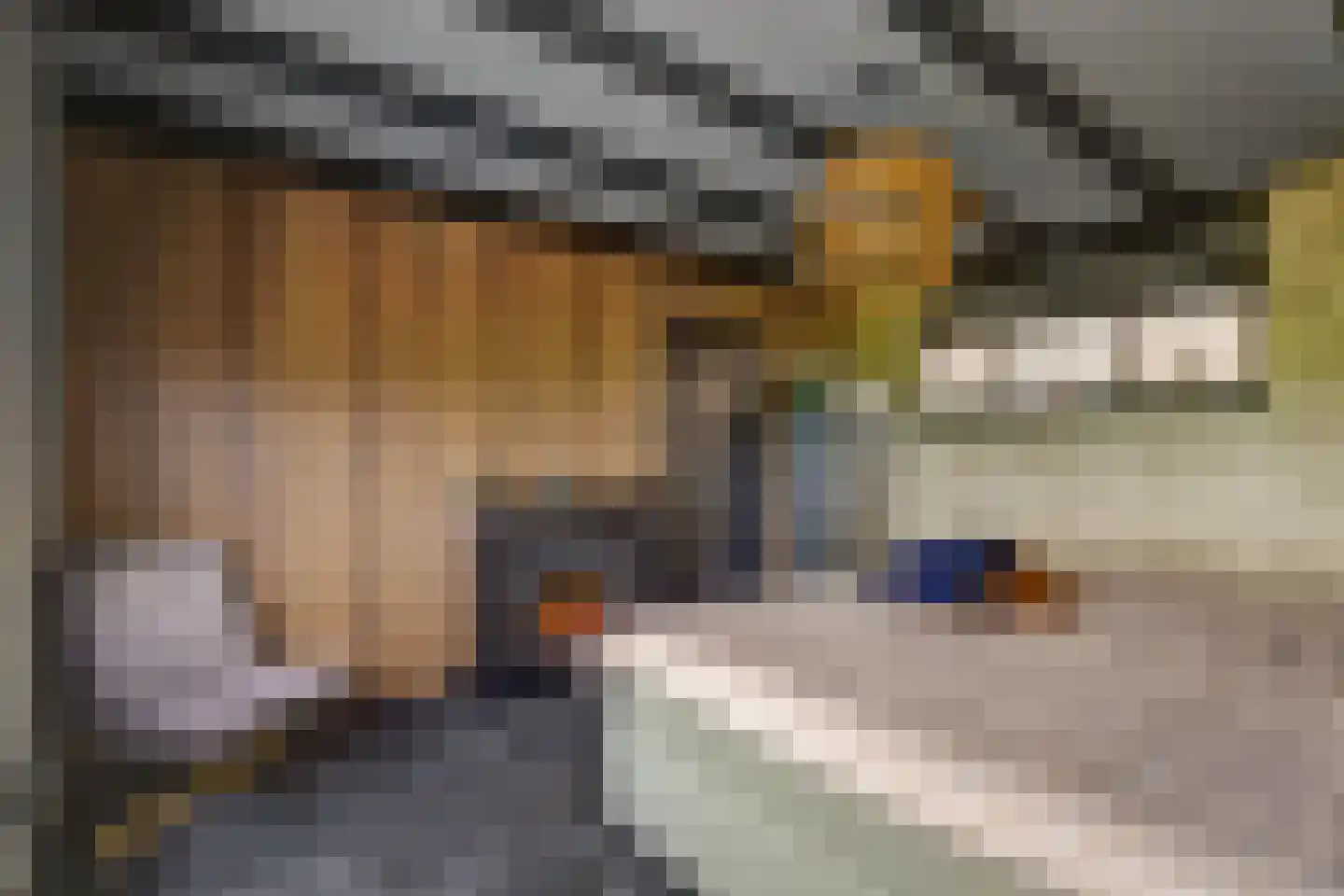 Mookhoek 51 Mookhoek thumbnail 12