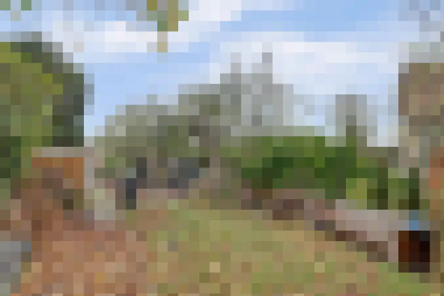 Mookhoek 51 Mookhoek thumbnail 22