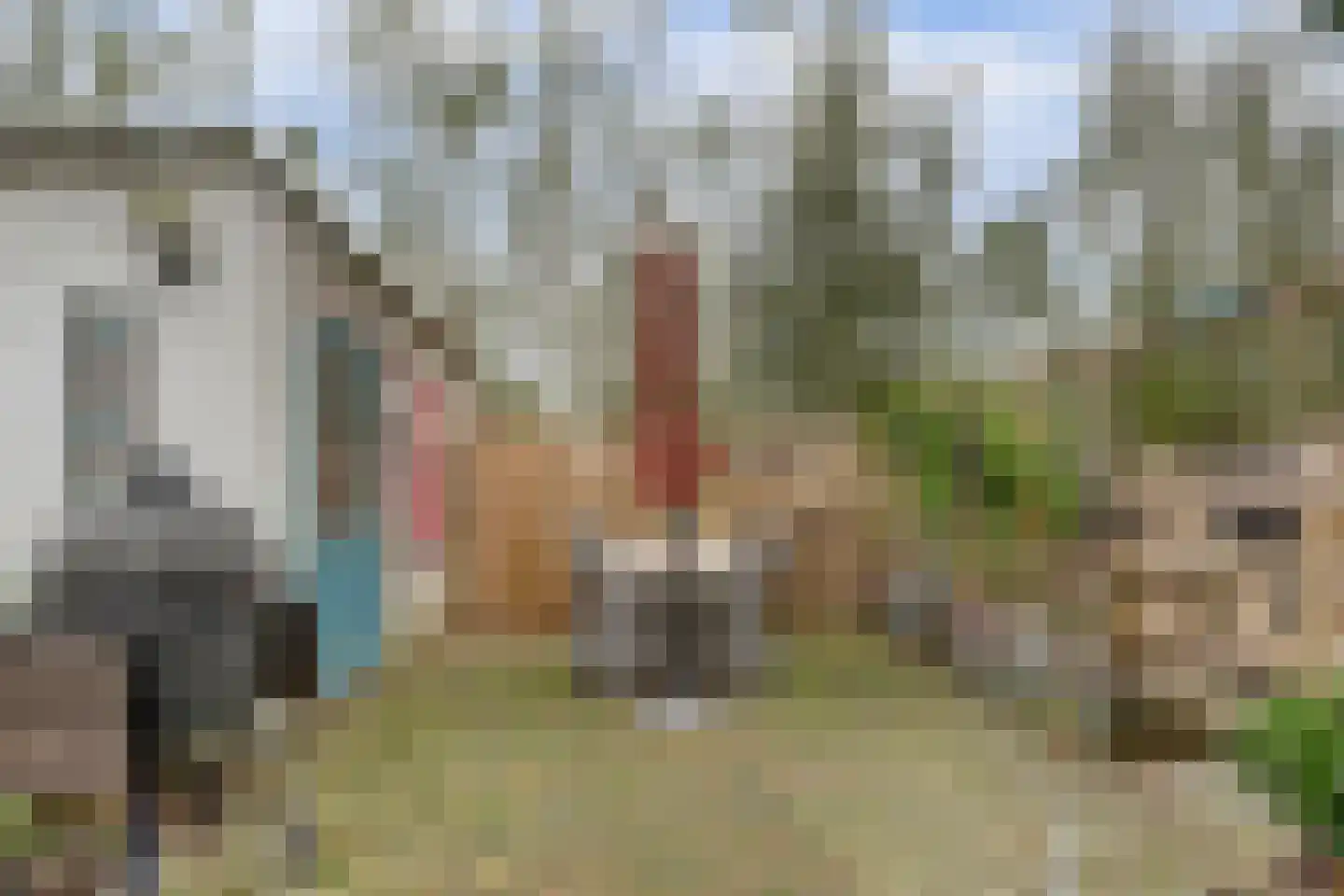 Mookhoek 51 Mookhoek thumbnail 25