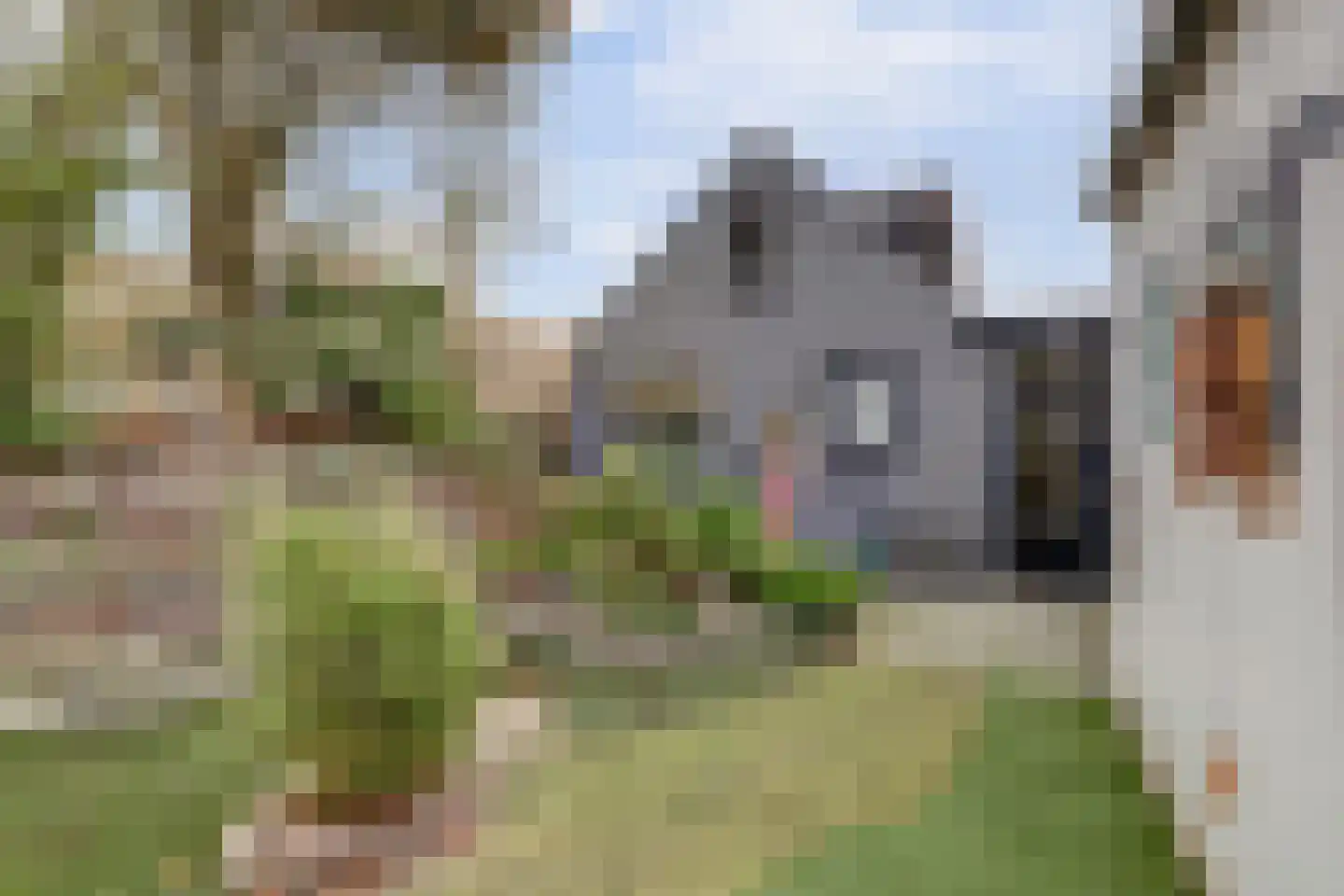 Mookhoek 51 Mookhoek thumbnail 26
