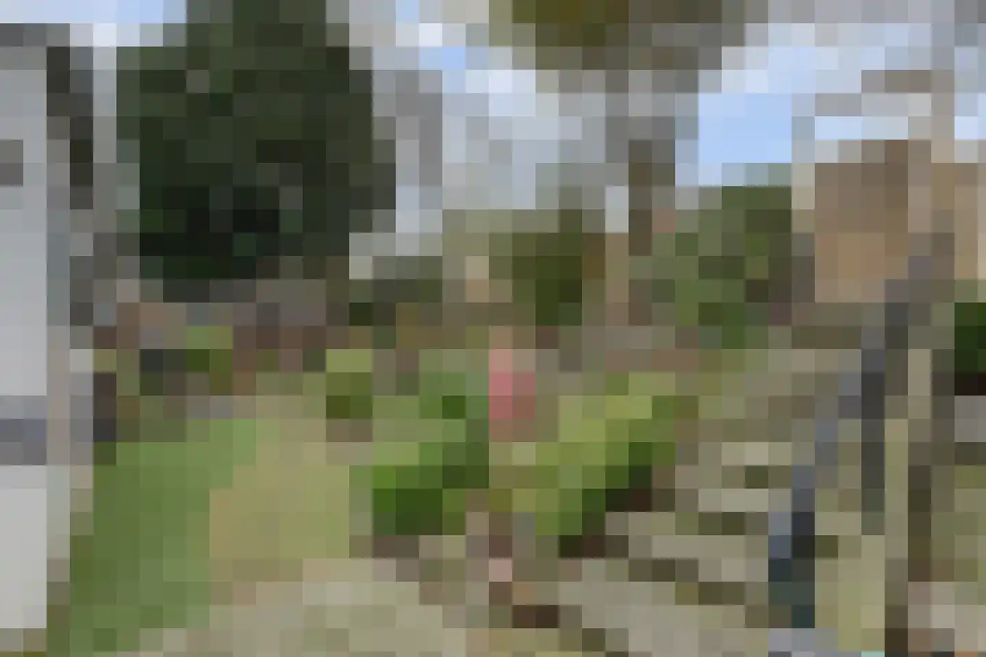 Mookhoek 51 Mookhoek thumbnail 27