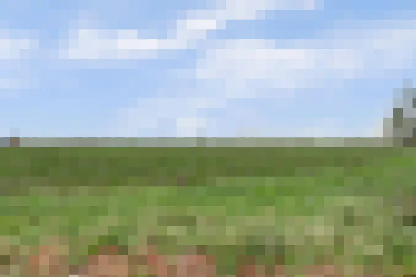 Mookhoek 51 Mookhoek thumbnail 33