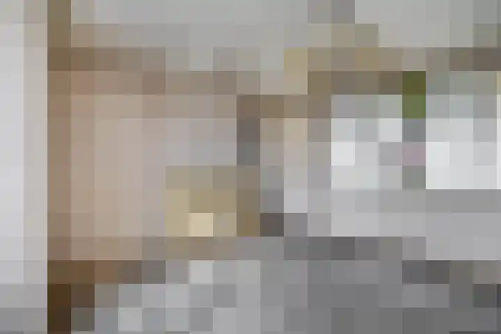 Mookhoek 54 Mookhoek thumbnail 12