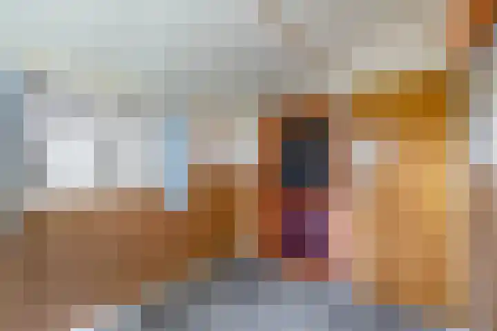 Mookhoek 54 Mookhoek thumbnail 15