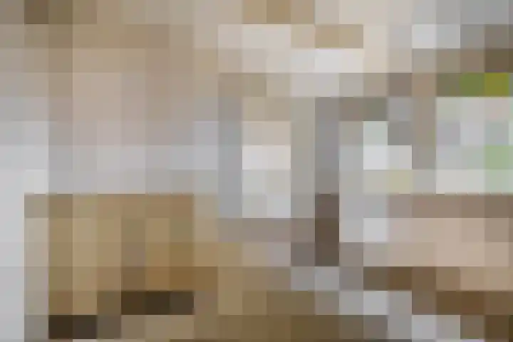 Mookhoek 54 Mookhoek thumbnail 16