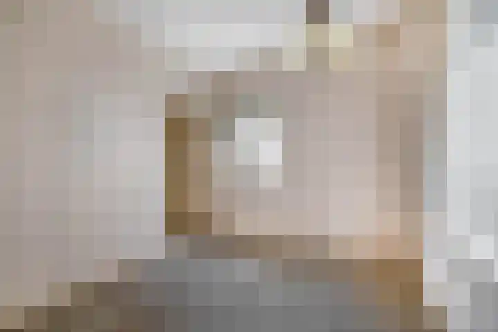 Mookhoek 54 Mookhoek thumbnail 18