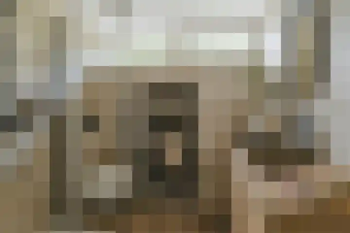 Mookhoek 54 Mookhoek thumbnail 26