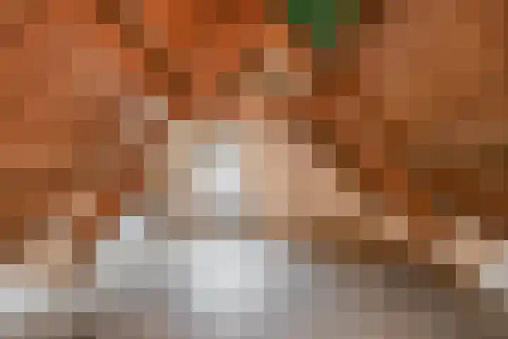 Mookhoek 54 Mookhoek thumbnail 33