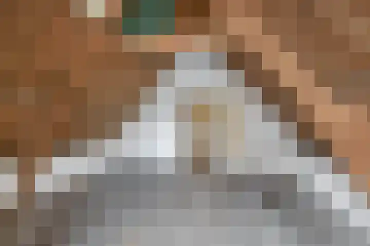 Mookhoek 54 Mookhoek thumbnail 34