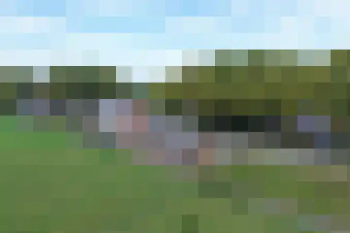 Mookhoek 54 Mookhoek thumbnail 41