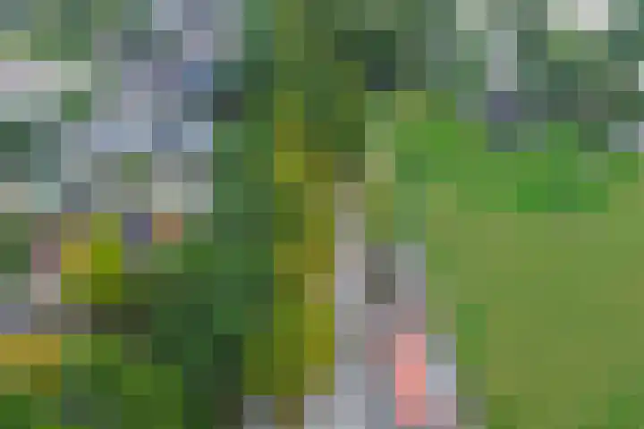 Mookhoek 54 Mookhoek thumbnail 42