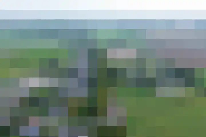 Mookhoek 54 Mookhoek thumbnail 43