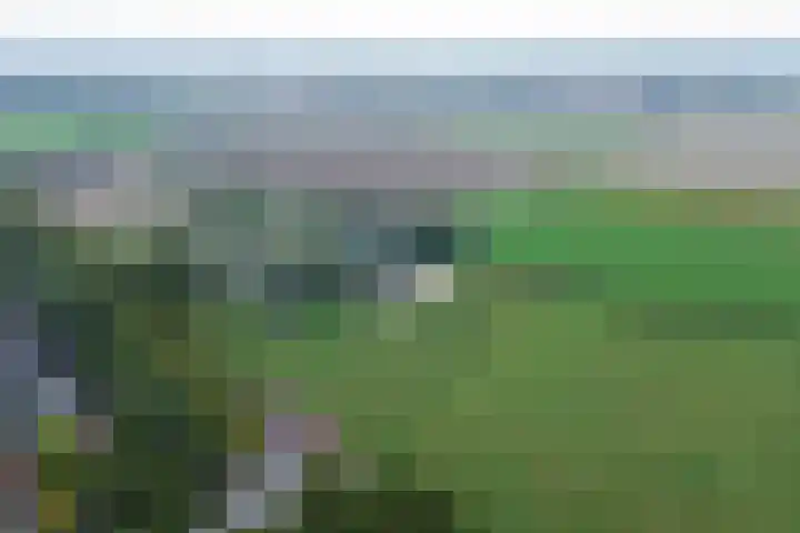 Mookhoek 54 Mookhoek thumbnail 44