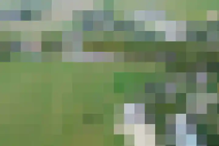 Mookhoek 54 Mookhoek thumbnail 46