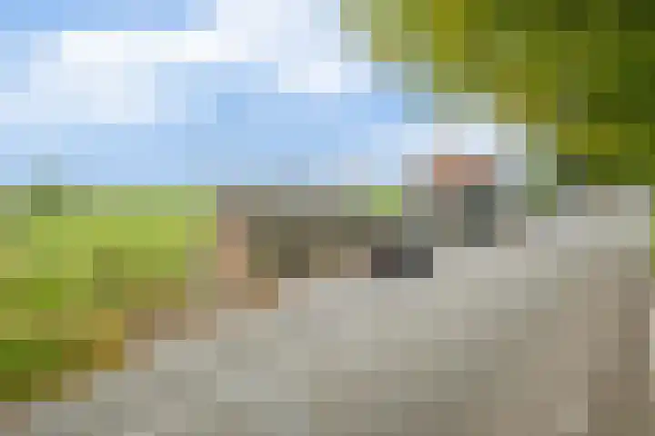 Mookhoek 54 Mookhoek thumbnail 8