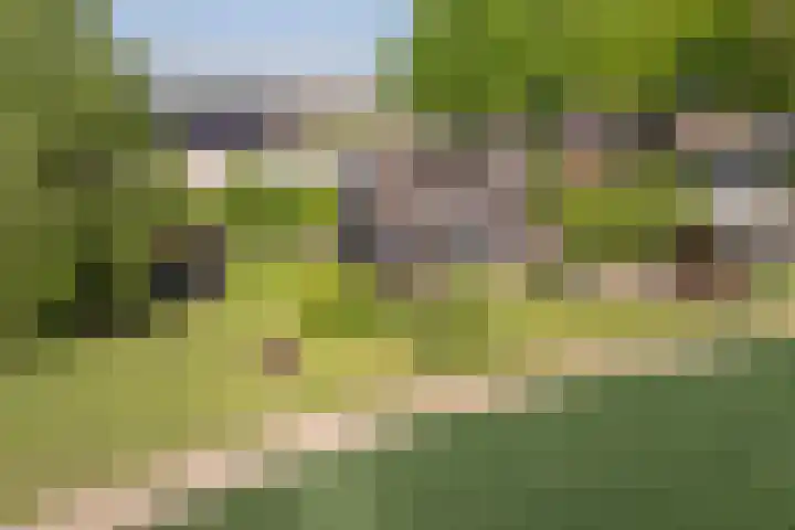 Mookhoek 6 Mookhoek