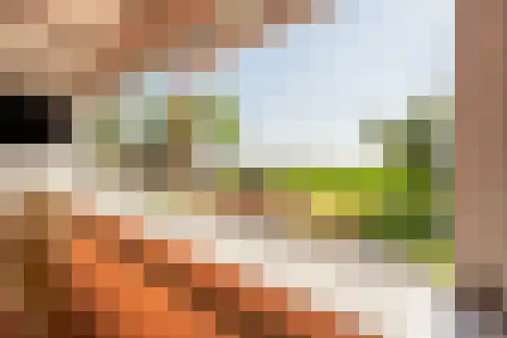 Mookhoek 6 Mookhoek thumbnail 22