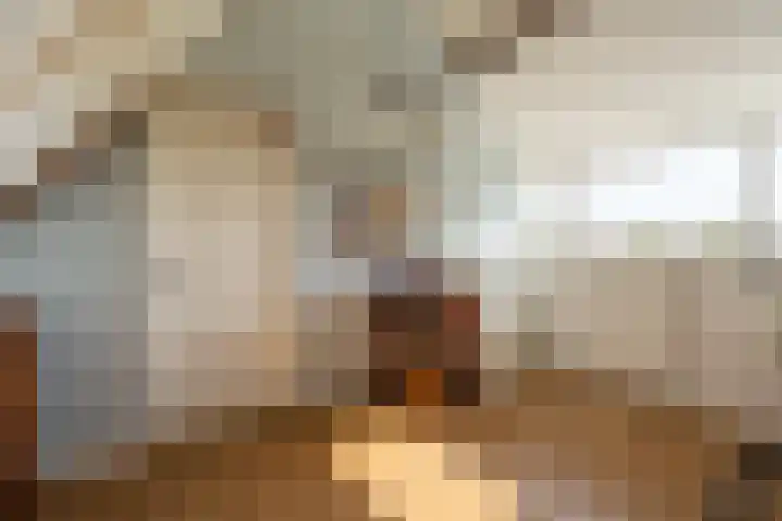 Mookhoek 6 Mookhoek thumbnail 28