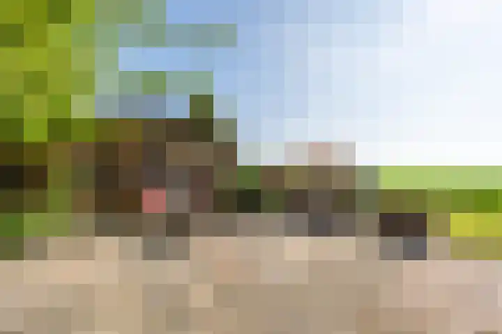 Mookhoek 6 Mookhoek thumbnail 30