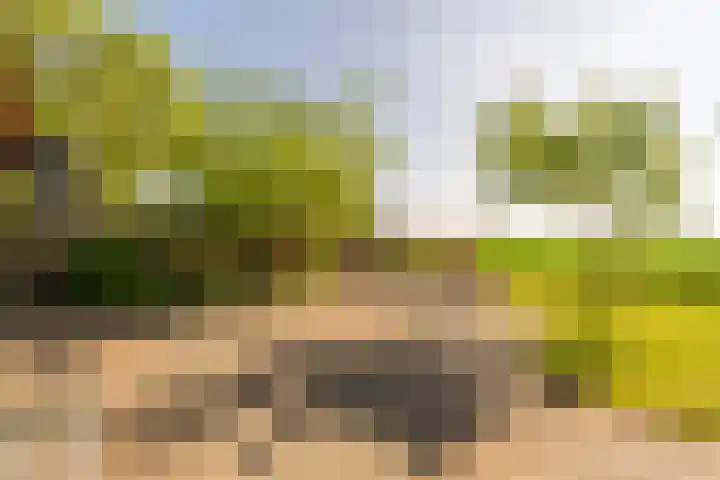 Mookhoek 6 Mookhoek thumbnail 31