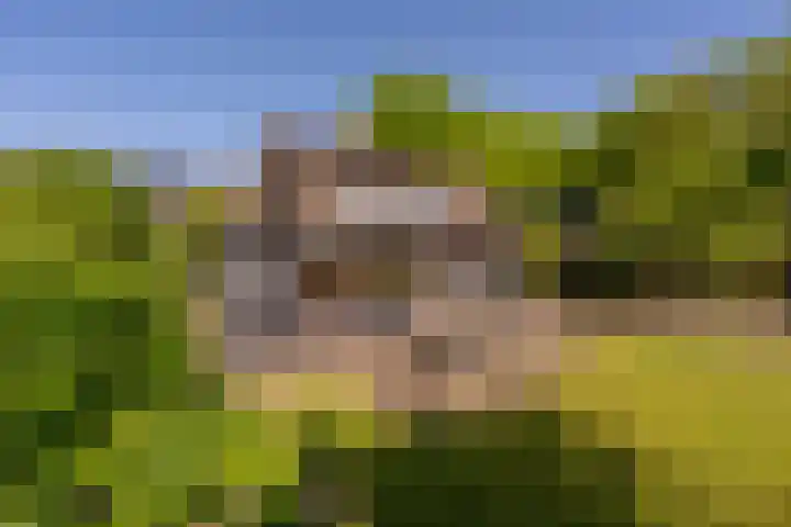 Mookhoek 6 Mookhoek thumbnail 32