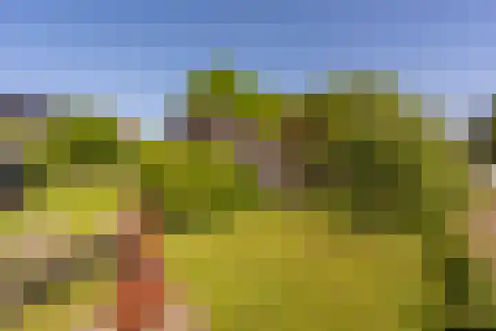 Mookhoek 6 Mookhoek thumbnail 33