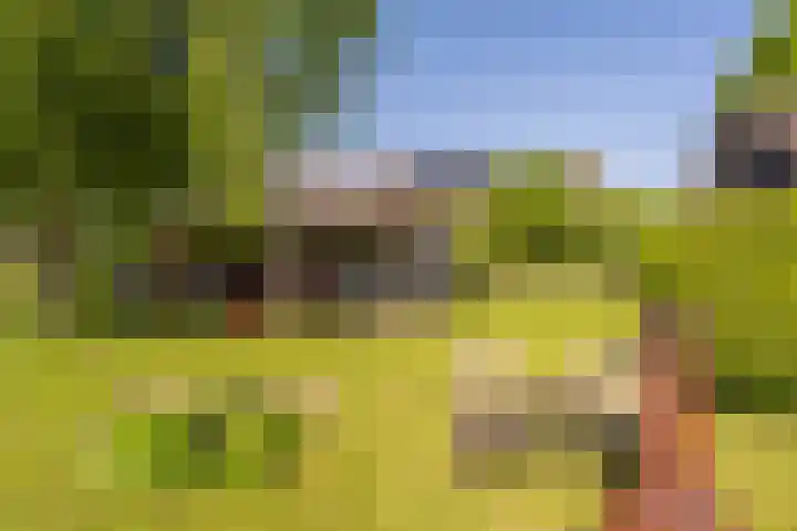Mookhoek 6 Mookhoek thumbnail 34