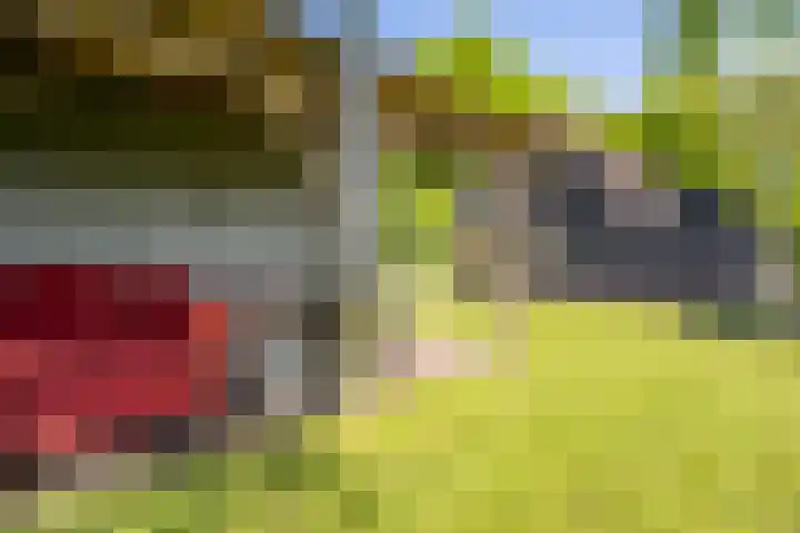 Mookhoek 6 Mookhoek thumbnail 35