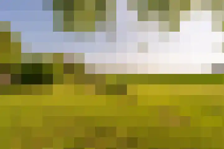Mookhoek 6 Mookhoek thumbnail 36