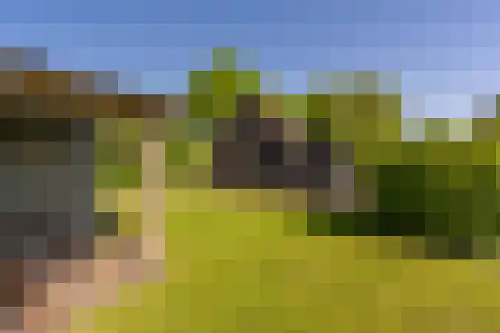 Mookhoek 6 Mookhoek thumbnail 37