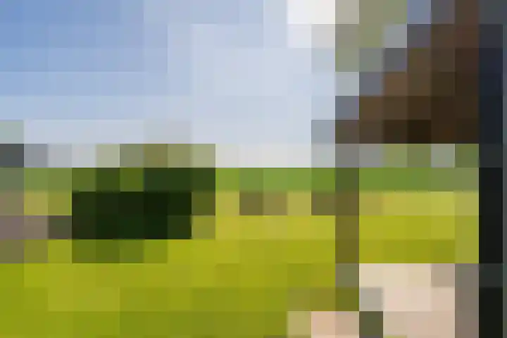 Mookhoek 6 Mookhoek thumbnail 38