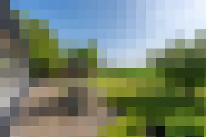 Mookhoek 6 Mookhoek thumbnail 39