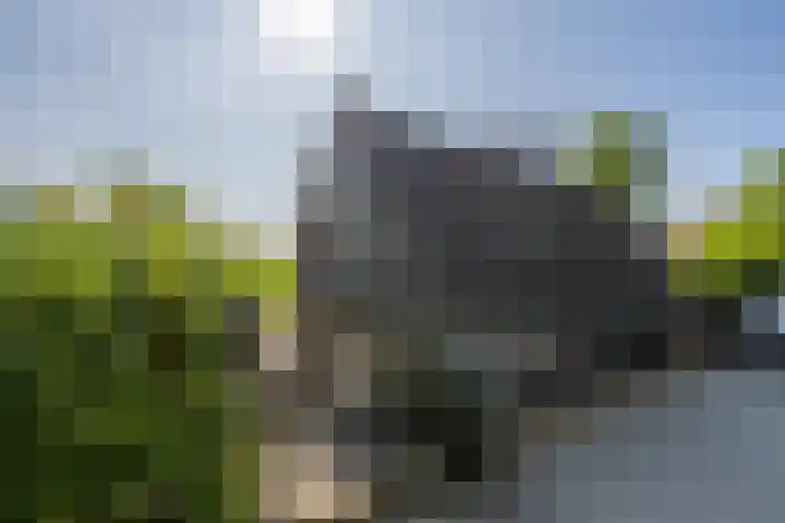 Mookhoek 6 Mookhoek thumbnail 41