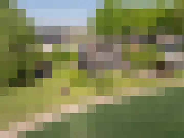 Mookhoek 6 Mookhoek thumbnail 46