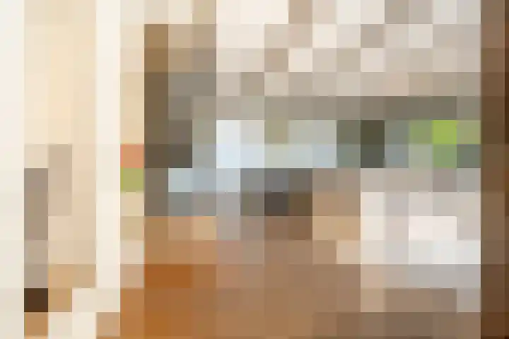 Mookhoek 6 Mookhoek thumbnail 6