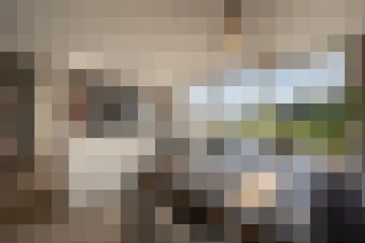 Mookhoek 64 Mookhoek thumbnail 10