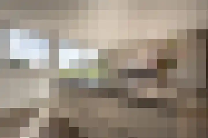 Mookhoek 64 Mookhoek thumbnail 16